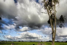 天涯论坛热帖大放送：聊聊那些脑洞大开的帖子