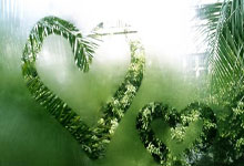 子宫内膜癌：天涯社区上的互助之旅！